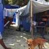 70 familias aún viven en carpas tras un año del sismo