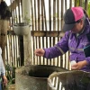 Gobierno despliega brigadas masivas para contener el dengue en Ecuador