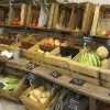 La feria Organic Food abre sus puertas en Madrid con Ecuador como país invitado