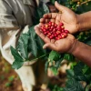 $ 900 mil se destinarán para fortalecer proyectos en la Amazonía