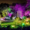 El ‘Bosque de luz’ iluminará el feriado en Quito 