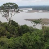 La ruta al Yasuní, un viaje al corazón de la Amazonía ecuatoriana