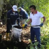 Orellana: Las riberas del río Napo fueron limpiadas