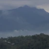Ecuador vive un dilema por el mercado de carbono 