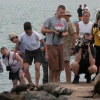 Galápagos: Comisión de Biodiversidad fiscaliza el incremento en la tasa de ingreso