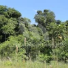 Petroamazonas avanza con la remediación ambiental