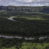 Colombia: Aumenta la deforestación en Parques Nacionales mientras nuevo gobierno anuncia revisión de la política ambiental