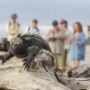 Galápagos registró 145.000 turistas en primer semestre de 2025