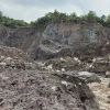 La Amazonia se acerca a un punto de no retorno para convertirse en una sabana