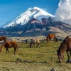 Turismo en Ecuador: los volcanes se consolidan como destinos para vivir experiencias más allá del paisaje 