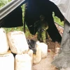 Un laboratorio de droga fue hallado en Sucumbíos