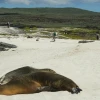 Ecuador acomete con Galápagos la mayor conversión de deuda por naturaleza de la historia