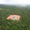 Petroamazonas reanuda operaciones, no se produjo 128.000 barriles