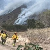 Incendio forestal, que afectó 850 hectáreas en Azuay, fue extinguido