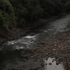 El río Puyo está contaminado con coliformes