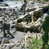 Un soldado fue hallado muerto y otro está desaparecido en la frontera con Colombia
