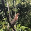 Ecuador conmemora el Día Mundial de la Biodiversidad