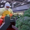 Agro apuesta por tecnología para crecer en 2026