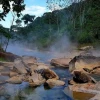 Perú: Río Hirviente en Huánuco revela más de 70 especies en estudio científico amazónico