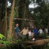 21 de marzo, Día Internacional de los Bosques