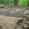 Estudio confirmó presencia de 12 especies nativas en bosque de Puyango