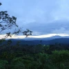 En corredor Tropi-Andino se registra paso de especies