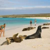 Galápagos cumple 40 años como primer patrimonio con énfasis en conservación