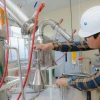 Planta en Puyo procesará especies amazónicas para aceites esenciales 