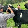 Ganaderos de Napo reciben asistencia técnica