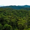 El Zarza, un refugio de vida silvestre en Zamora Chinchipe