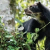 El Chocó Andino: un rincón de naturaleza, aventura y cultura a un paso de Quito