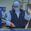 Ecuador exportó carne de cerdo por primera vez