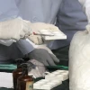 Policía de Ecuador decomisa 446,75 kilos de cocaína y apresa a integrante de célula narco