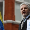 Contraloría dice que Assange tenía una línea directa con Rafael Correa