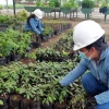 Petroecuador eliminó 112 fuentes de contaminación en Orellana y Sucumbíos