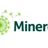Mineros acelera su expansión en América tras aumentar 13 % su producción de oro