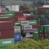Exportadores consideran que dictamen de la Corte Constitucional impide el desarrollo del país