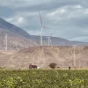 Ecuador adjudicará a firmas de Francia, España y México proyectos de energía