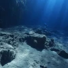Descubren “frenos naturales” en una falla submarina ubicada frente a Ecuador