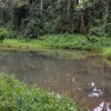 'Hemisferios', una reserva de biodiversidad y "fábrica de agua" en la Amazonía
