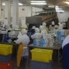 Santa Priscila obtiene autorización para adquirir activos de Ecuaprotein