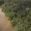 El Yasuní encabeza la lista de National Geographic