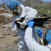 Ecuador reporta la presencia de gripe aviar en Galápagos