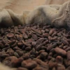 Ecuador expone su producción de cacao en Bélgica