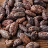 El precio del cacao ha caído abruptamente en los últimos días