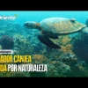 Con Galápagos, Ecuador firma el canje de «deuda por naturaleza» más grande de la historia