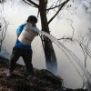 Incendios dejan unas 30.000 hectáreas quemadas desde enero