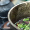 Ayahuasca, la bebida indígena que alimenta las neuronas