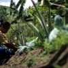 2 provincias amazónicas, entre las que menos desempleo tienen en Ecuador