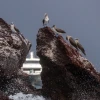 Galápagos: Fundación de Jeff Bezos donó para seguridad marítima